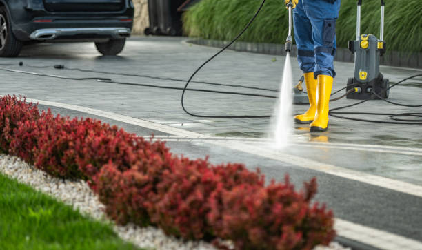 Professional Pressure Washing in Islamorada Village Of Islands, FL